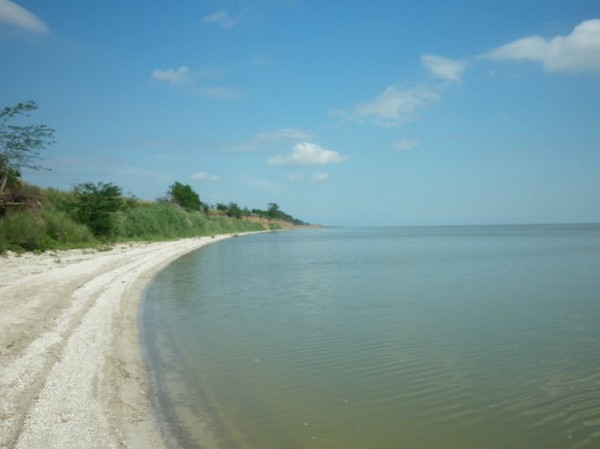 В Краснодарском крае браконьер выловил рыбы более чем на 4 млн руб В Краснодарском крае браконьер выловил рыбы более чем на 4 млн руб