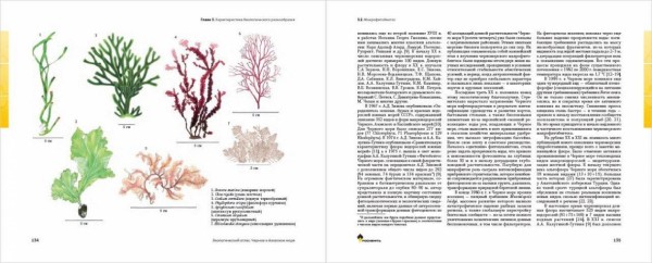 "Роснефть" подготовила экологический атлас Черного и Азовского морей