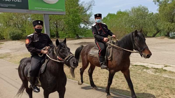 1 мая мобильные группы самоконтроля патрулировали Краснодар по 139 маршрутам