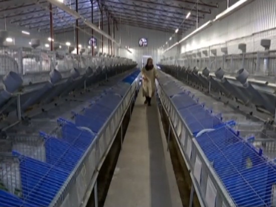 В деле о пожаре на кролиководческой ферме в станице Натухаевской появились новые данные