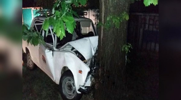 На Кубани 81-летняя пенсионерка погибла при столкновении машины и дерева