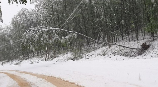 В горах Адыгеи выпал снег