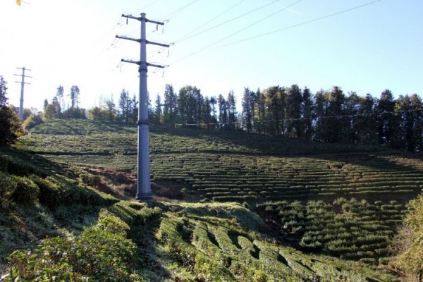 Энергетики предупреждают: охранные зоны ЛЭП &ndash; место повышенной опасности!