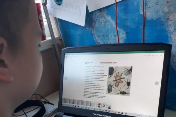 Сочинские энергетики проводят онлайн-уроки по электробезопасности