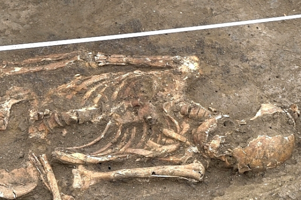 Пять тысячелетий под ногами. Под Краснодаром нашли редкие захоронения