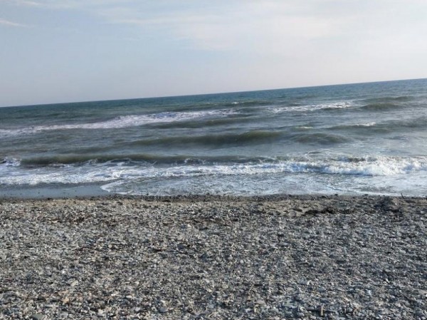 Пляжи Краснодарского края и Крыма могут открыться через 2 недели