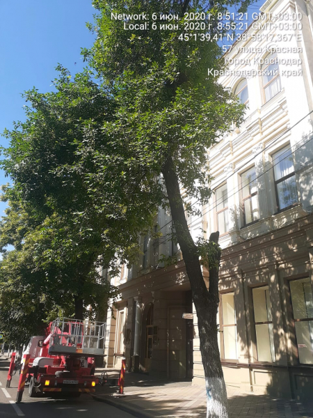 В центре Краснодара проведут дополнительное обследование аварийных деревьев В центре Краснодара проведут дополнительное обследование аварийных деревьев