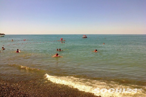 В Ростуризме рассказали, когда откроют сочинские пляжи В Ростуризме рассказали, когда откроют сочинские пляжи