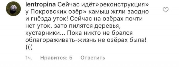 Озера Краснодара в опасности: на них замечены мертвые водоплавающие (ВИДЕО)