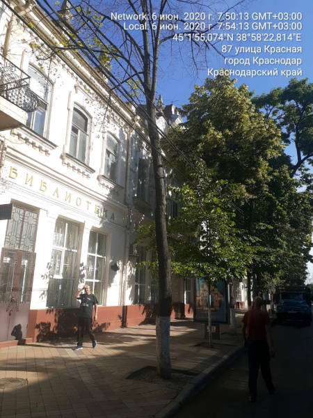 В центре Краснодара проведут дополнительное обследование аварийных деревьев В центре Краснодара проведут дополнительное обследование аварийных деревьев