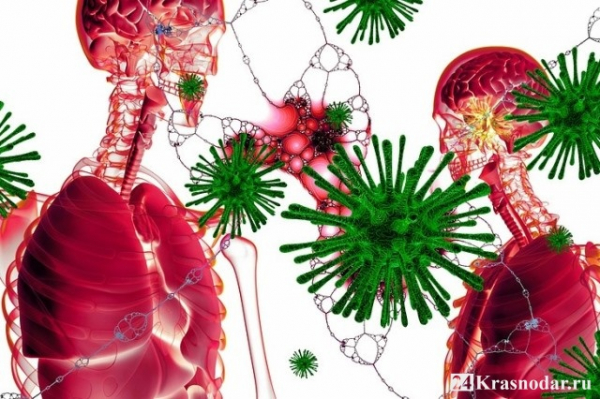 Новые смерти от COVID-19