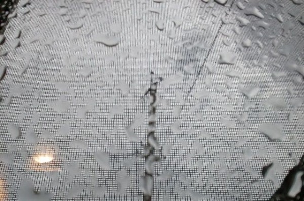 На Кубани объявлено экстренное предупреждение по непогоде по 1 июля