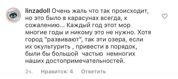 Озера Краснодара в опасности: на них замечены мертвые водоплавающие (ВИДЕО)