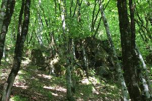 Черноморское Средневековье: белые пятна на карте исторических памятников в Большом Сочи Черноморское Средневековье: белые пятна на карте исторических памятников в Большом Сочи