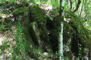 Черноморское Средневековье: белые пятна на карте исторических памятников в Большом Сочи Черноморское Средневековье: белые пятна на карте исторических памятников в Большом Сочи