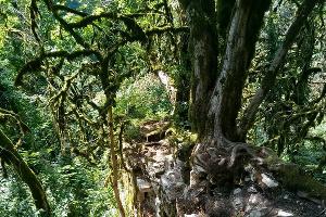 Черноморское Средневековье: белые пятна на карте исторических памятников в Большом Сочи Черноморское Средневековье: белые пятна на карте исторических памятников в Большом Сочи