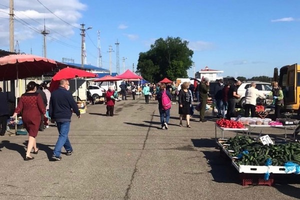 Коронавирус в Адыгее, последние новости на 1 июня 2020: Майкоп вырвался в лидеры по количеству заболевших