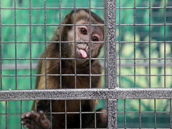 С 27 июня на Кубани открываются рестораны, кафе, зоопарки, дельфинарии, туробъекты С 27 июня на Кубани открываются рестораны, кафе, зоопарки, дельфинарии, туробъекты