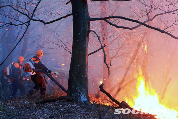 На территории Сочи сохраняется высокая пожароопасность На территории Сочи сохраняется высокая пожароопасность