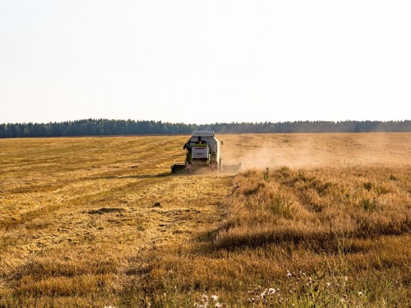 Кубань первой в стране завершила уборочную кампанию Кубань первой в стране завершила уборочную кампанию