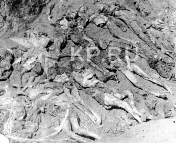 Среди палачей 200 ейских детей-инвалидов были не только фашисты