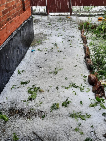 В Адыгее град повредил яблоневые сады