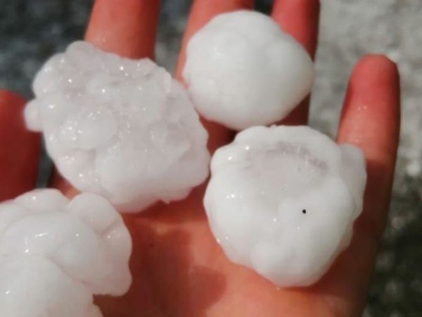 В Адыгее град повредил яблоневые сады