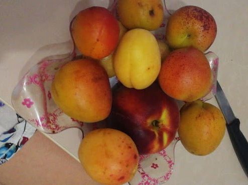 Профессор рассказал о полезных свойствах персика Профессор рассказал о полезных свойствах персика