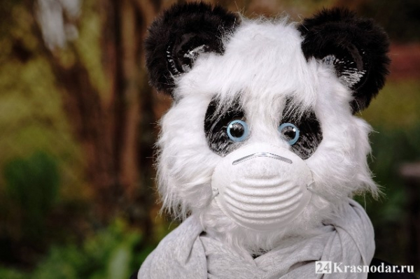 Неумолимый рост коронавируса