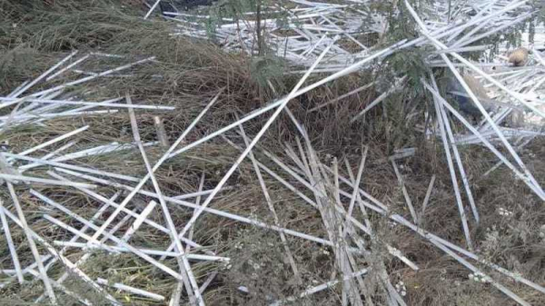 Незаконную свалку люминесцентных ламп ликвидировали в Краснодаре