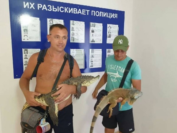 В Анапе у фотографов-живодеров забрали крокодила и игуану