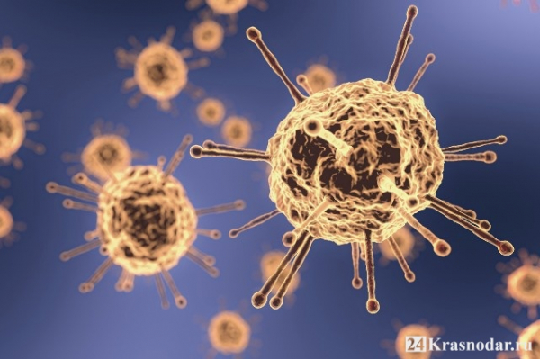 63 новых заразившихся коронавирусом