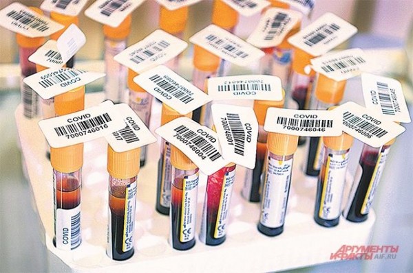 На Кубани за весь период пандемии заболели 9278 человек, из них 686 детей