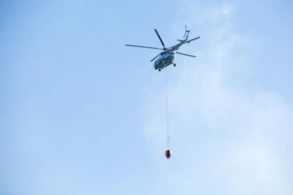 В Анапе локализован лесной пожар