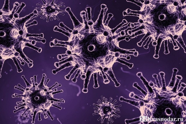 До 145 увеличилось количество смертей от коронавируса До 145 увеличилось количество смертей от коронавируса