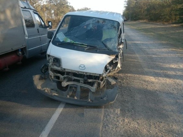 На трассе Новороссийск – Керчь столкнулись 2 автомобиля