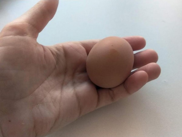 Врачи перечислили типы продуктов для снижения артериального давления