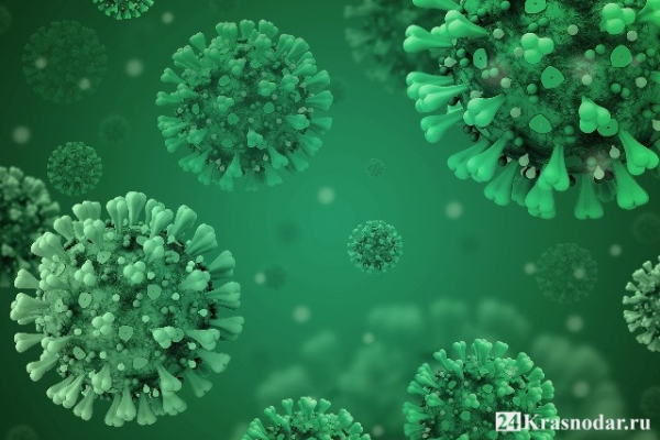 До 160 увеличилось количество смертей от коронавируса