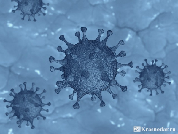 До 119 увеличилось количество смертей от коронавируса