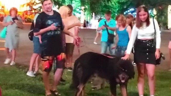 Возмущению нет предела: в центре Сочи мошенники развели нелегальный зоопарк с целью наживы (ВИДЕО) Возмущению нет предела: в центре Сочи мошенники развели нелегальный зоопарк с целью наживы (ВИДЕО)