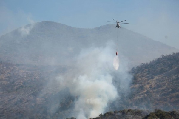На Утрише под Анапой настоящее "горячее" бедствие – эвакуировали почти тысячу туристов