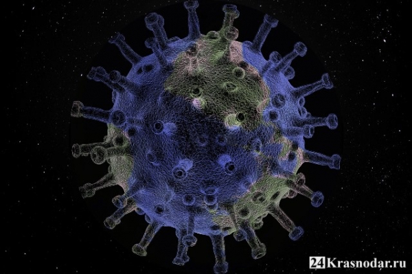 До 154 увеличилось количество смертей от коронавируса До 154 увеличилось количество смертей от коронавируса