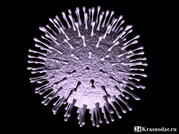 До 131 увеличилось количество смертей от коронавируса До 131 увеличилось количество смертей от коронавируса
