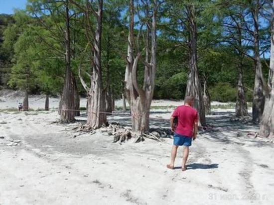 Кипарисовую рощу в анапском экопарке запретили посещать туристам