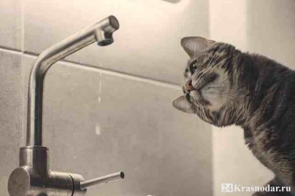 Нет холодной воды в центре 