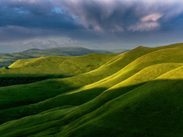 В Краснодаре представлены лучшие работы фотографов-натуралистов В Краснодаре представлены лучшие работы фотографов-натуралистов