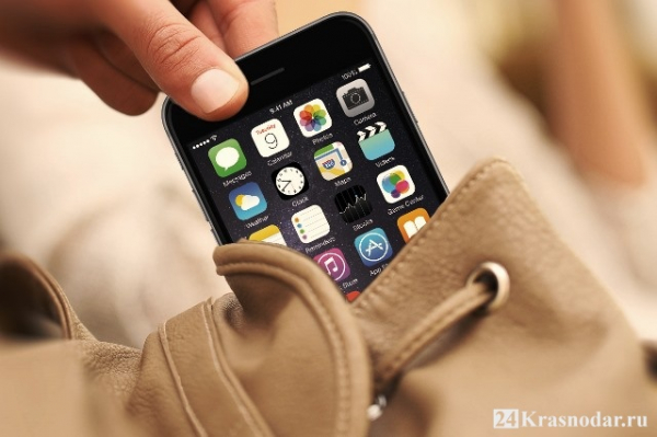 Медвежья услуга в ЮМР Медвежья услуга в ЮМР