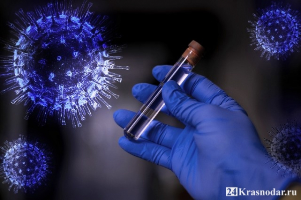 До 163 увеличилось количество смертей от коронавируса