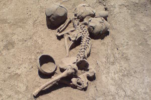 Меот и до. Кто жил в Краснодаре до краснодарцев Меот и до. Кто жил в Краснодаре до краснодарцев