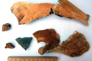 Меот и до. Кто жил в Краснодаре до краснодарцев Меот и до. Кто жил в Краснодаре до краснодарцев